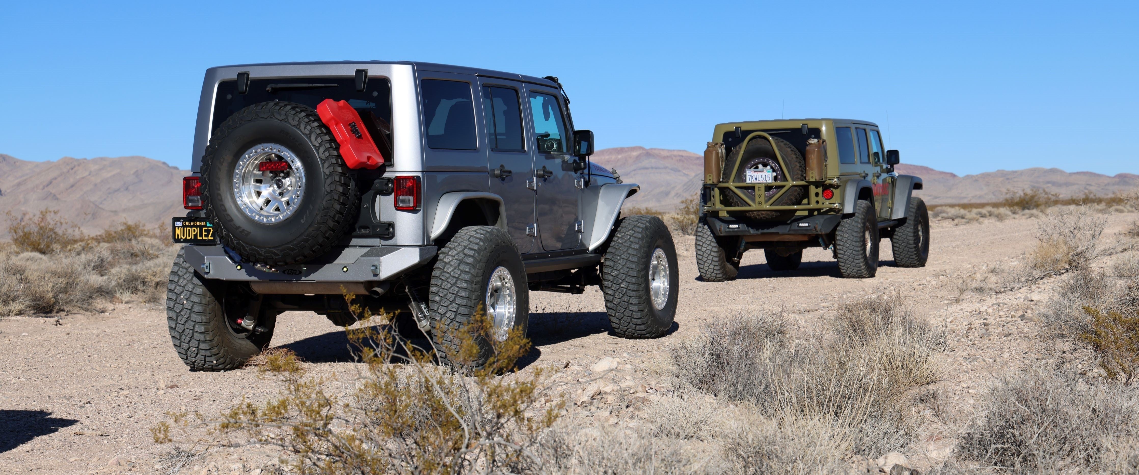 Rear Bumpers