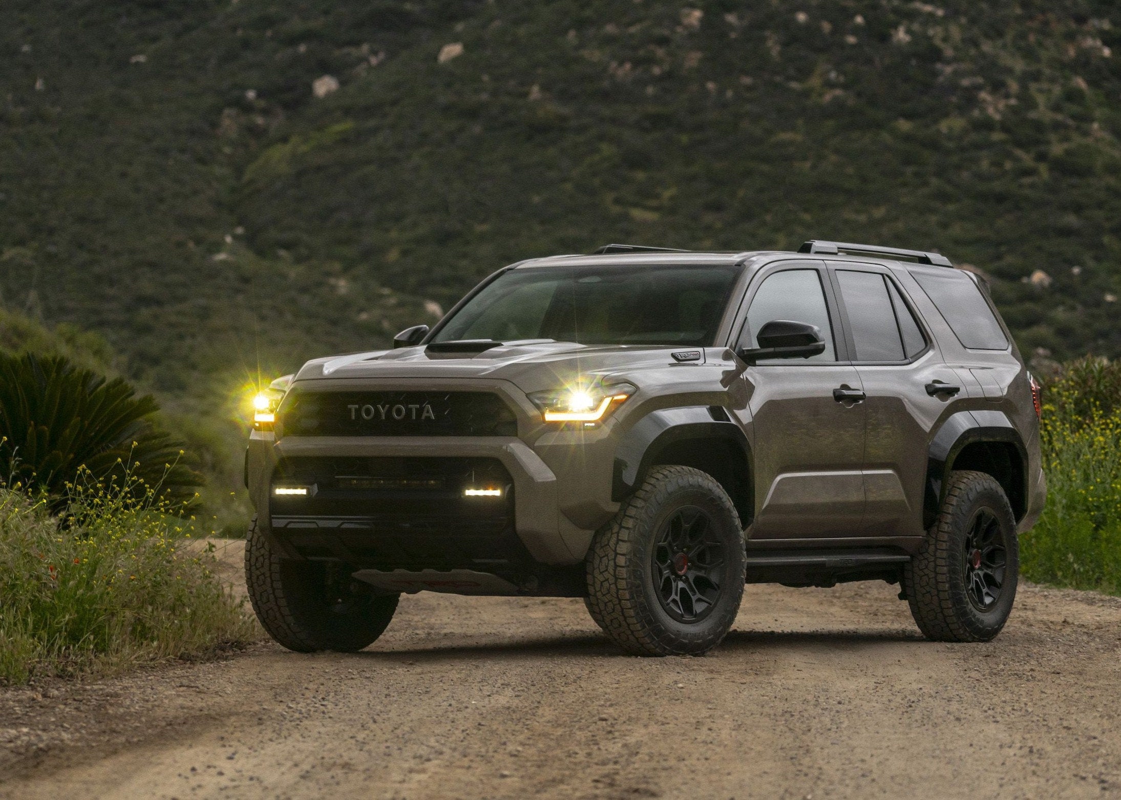 2025 4Runner Fog Lights