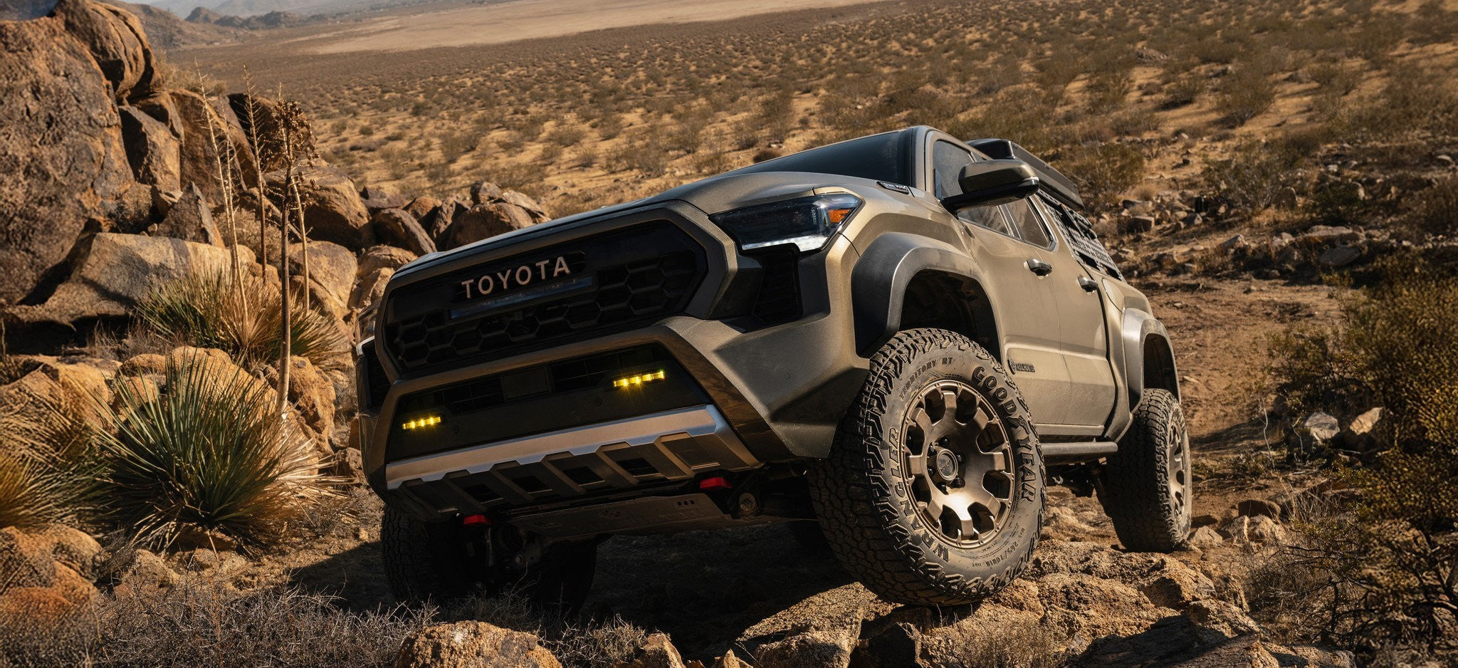2024-2025 Tacoma Shocks