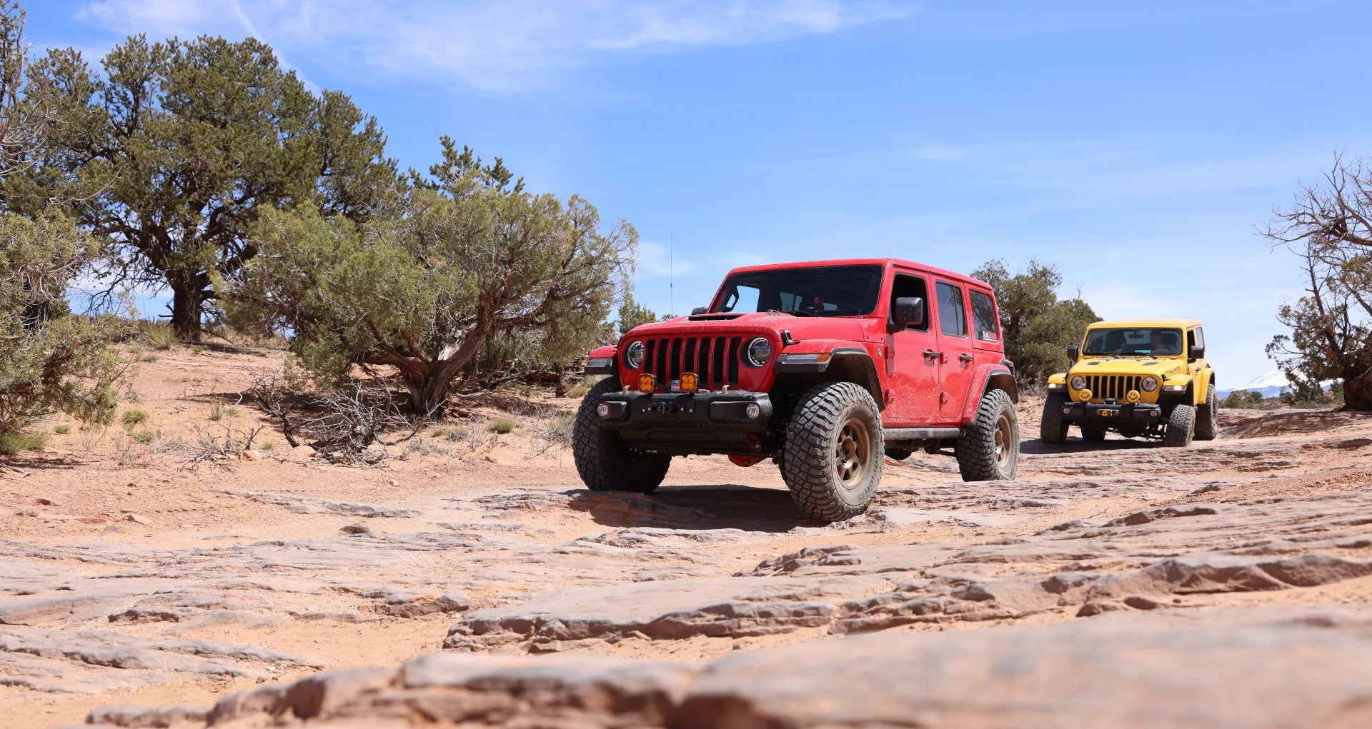 JL Headlights