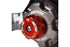 2003-2024 Toyota 4Runner Fox Racing 2.5 Factory Race Internal Bypass Rear Shocks (2-3in Lift)