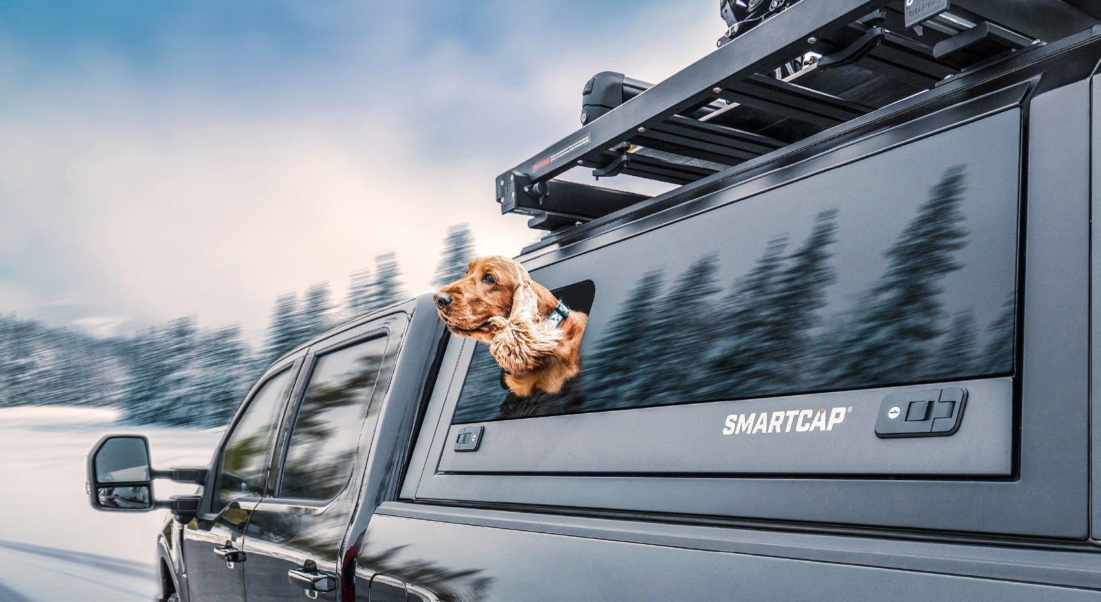 2024-26 Toyota Tacoma 5' Bed RSI Smartcap Evo Sport
