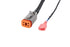 Diode Dynamics Deutsch DT Adapter Wires W/ Backlight Tap (Pair)