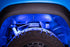 Diode Dynamics Stage Series Single Color LED Rock Lights - Blue, M8, 4-Pack